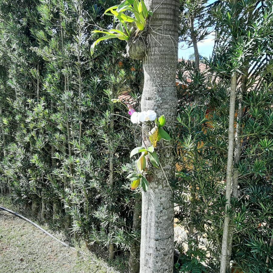 Chacara Em * Atibaia